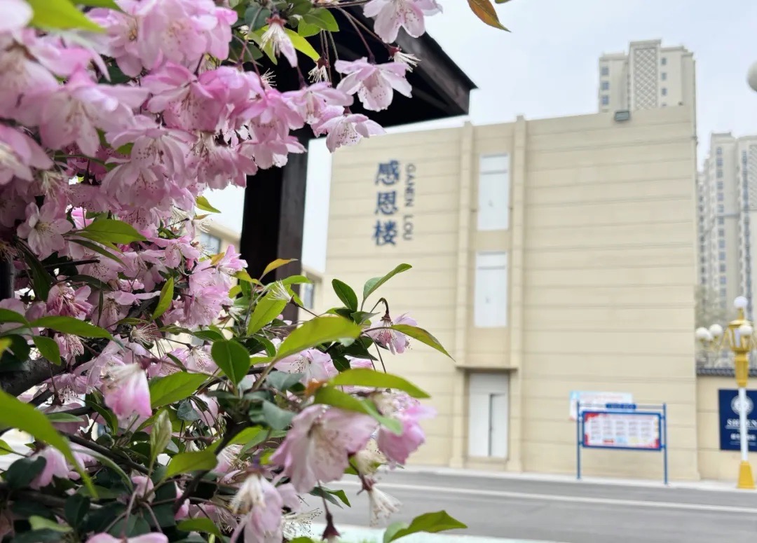 春日万物新，校园绽芳华